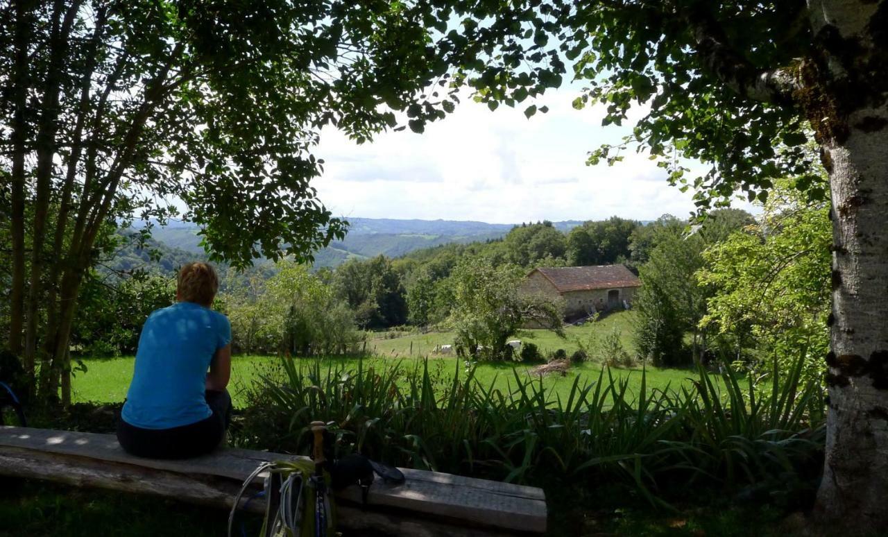 Bed and Breakfast Domaine Les Teuilleres Lacam-dʼOurcet Exterior foto
